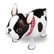Francia bulldog sétáló lufi Francia bulldog sétáló lufi